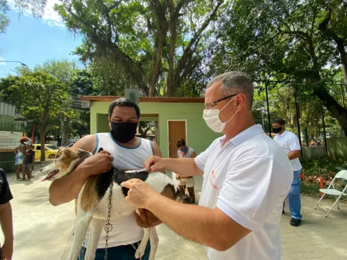 Prefeitura já vacinou mais de 7 mil animais