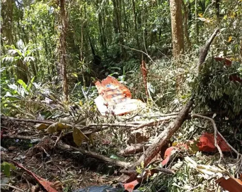 O modelo T-25 de instrução da Academia da Força Aérea sumiu do radar na tarde desta sexta-feira (4)