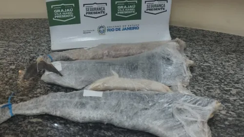 Peças de bacalhau furtadas