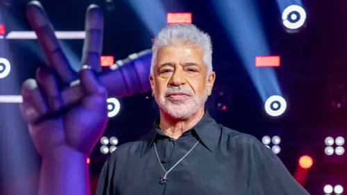 Lulu Santos aproveitou o momento no The Voice para realizar o apelo em rede nacional