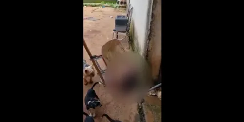 Os animais passavam fome e estavam em um local abandonado