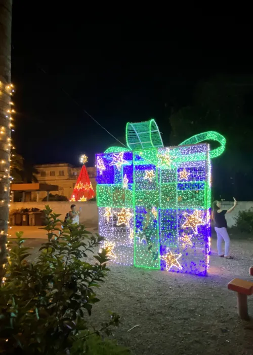 Além da árvore, a decoração conta com caixas de presente, bolas de enfeite e um presépio