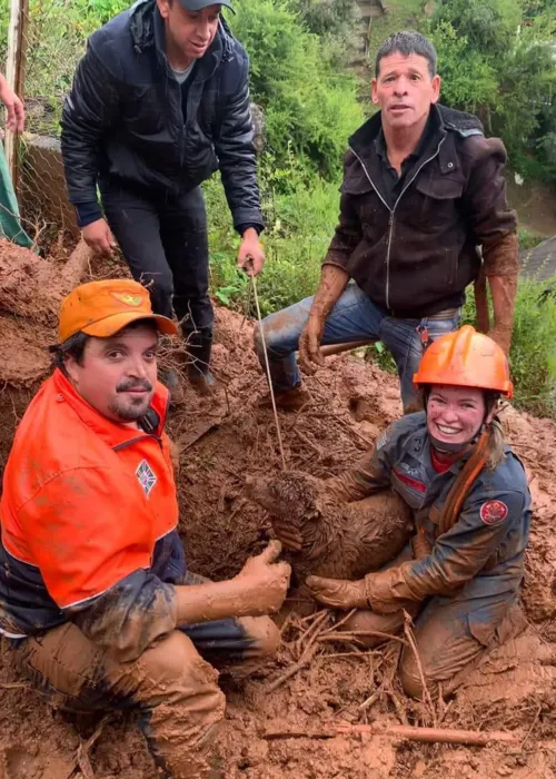 As equipes foram acionadas após os moradores terem escutado o animal chorando em um terreno baldio