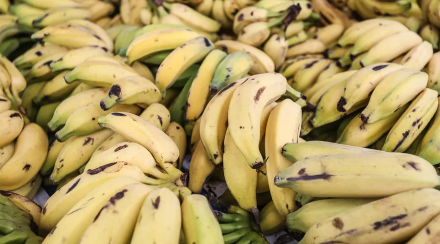 Muito popular em todo o mundo, a banana é a fruta fresca mais consumida do planeta 4ª mais produzida em solo brasileiro