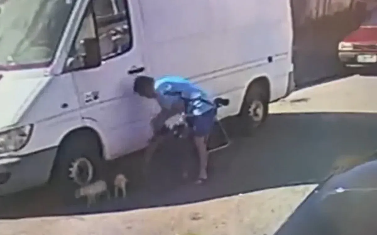 Câmeras de segurança de uma residência flagrou o homem abandonando os filhotes na rua