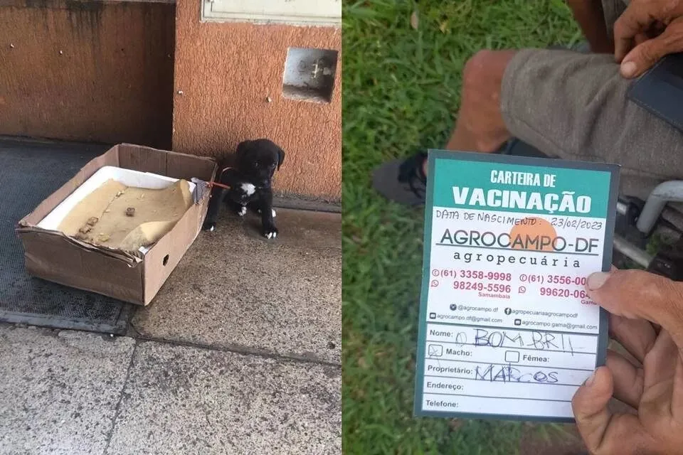 Rapaz vendia o filhote de cachorro por R$ 70