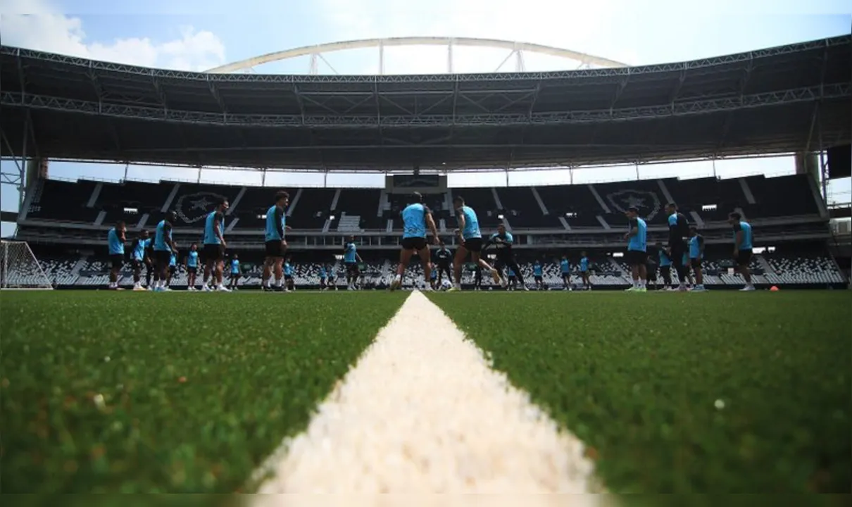 Botafogo retorna ao estádio Nilton Santos após a colocação da nova grama sintética