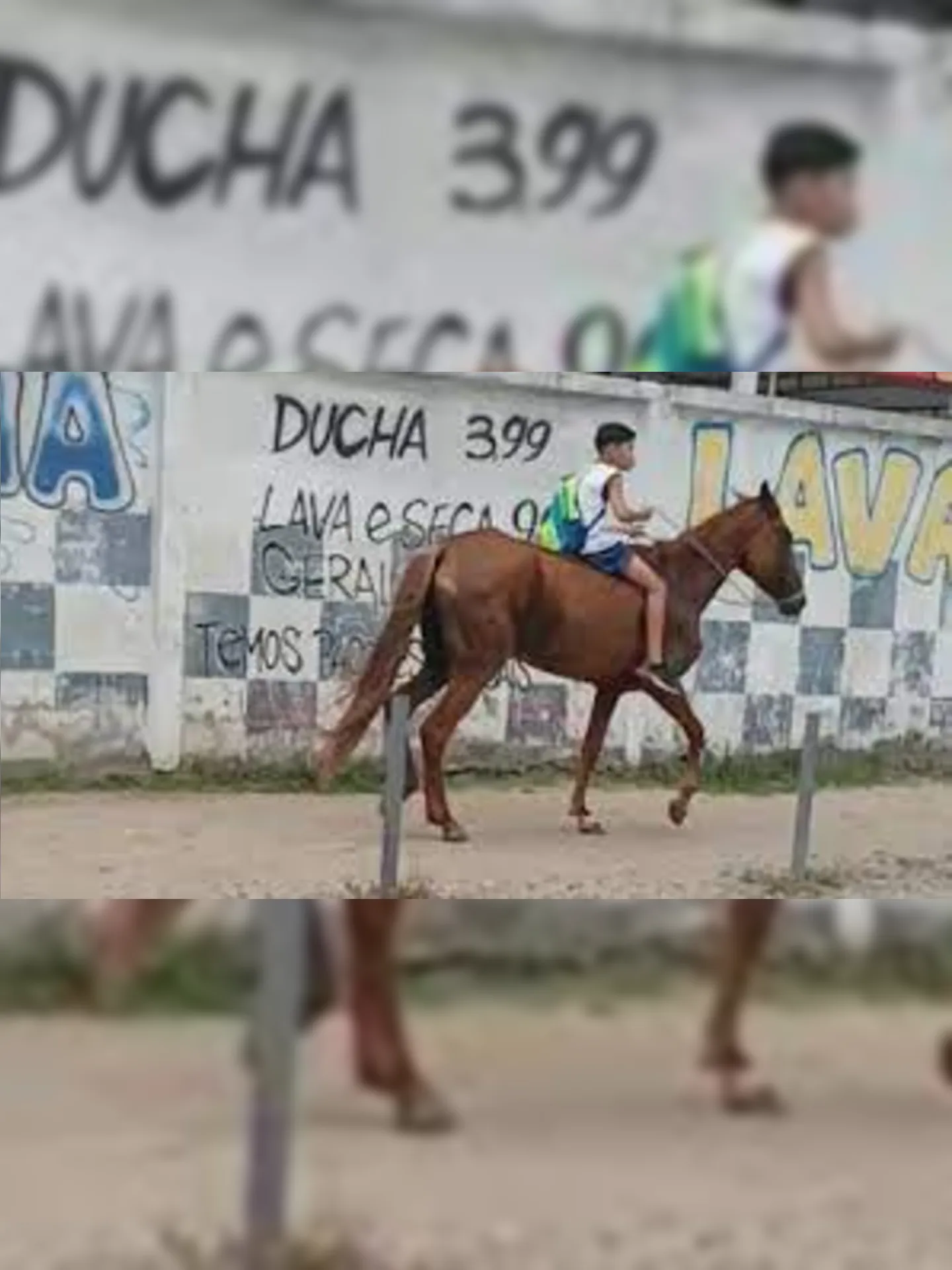 Pedro de Lima foi flagrado indo para a escola de cavalo