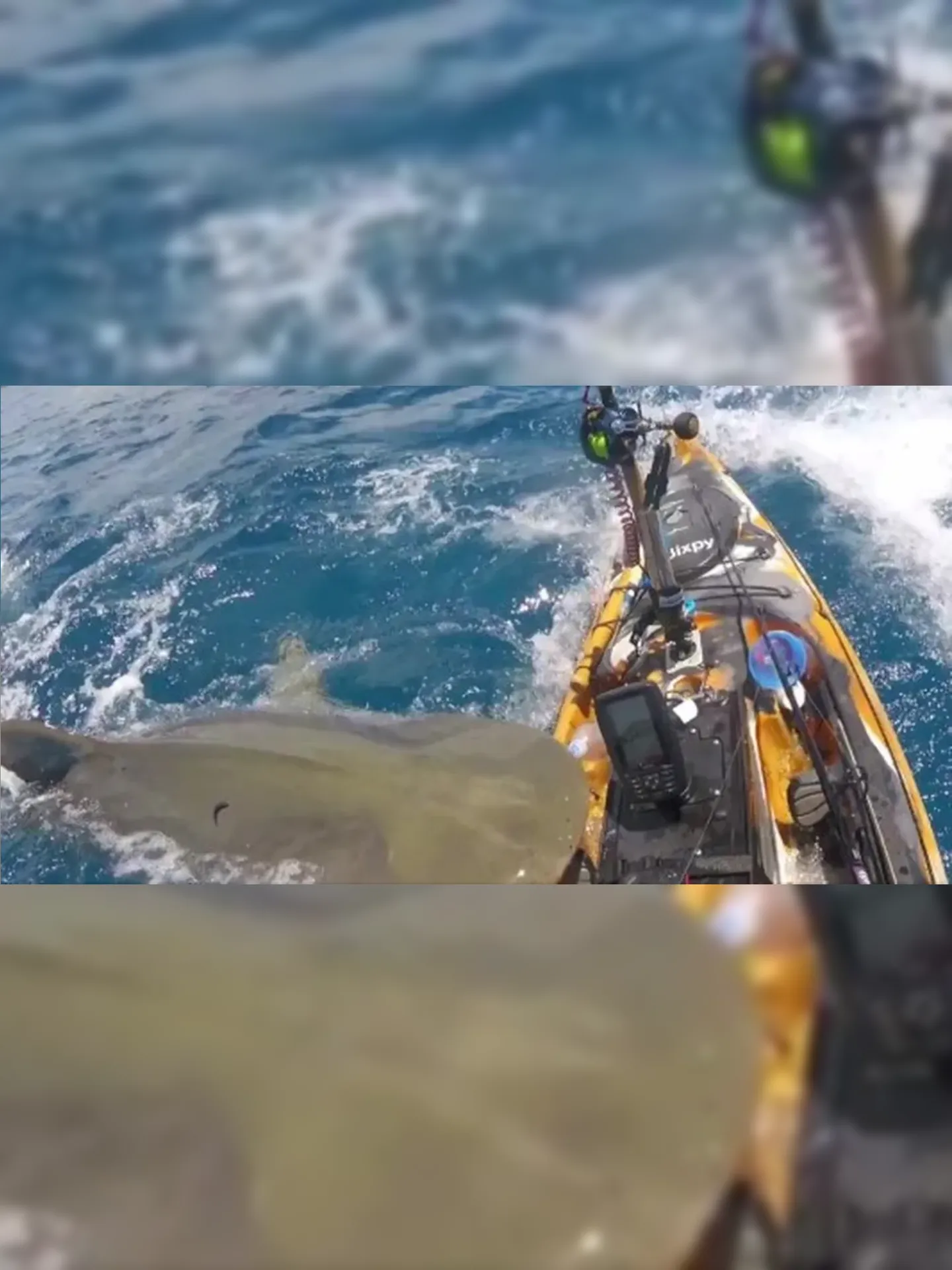 Com agilidade, o havaiano desferiu um chute na cabeça do tubarão