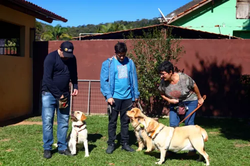 Cães são treinados para atuar em atividade, educação ou terapia assistida