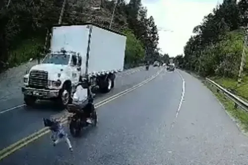 A menina foi resgatada aparentemente sem ferimentos