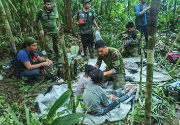 Crianças foram encontradas com vida na floresta