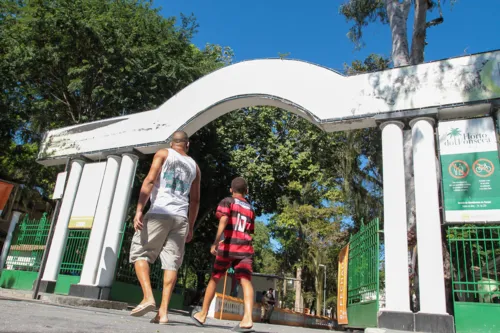 Serão diversas atrações que farão o público dançar e cantar