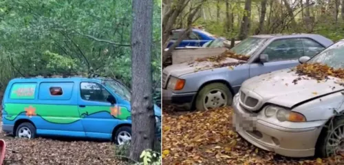 Cemitério de carros foi encontrado no meio da floresta