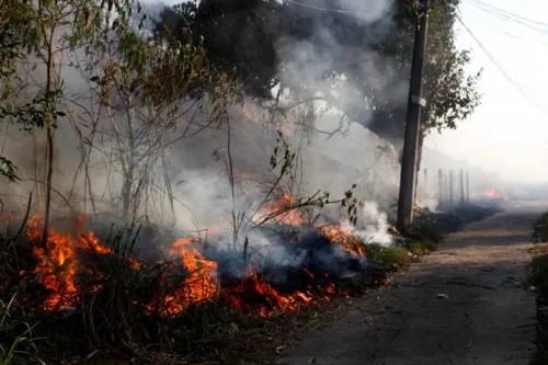 Cerca de oito casas ficam próximas ao local das chamas