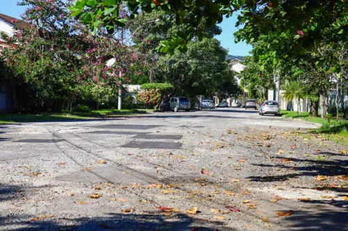 Cães de rua vem assustando moradores da Região Oceânica de Niterói