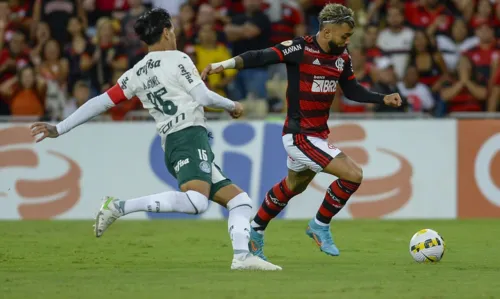 Assim como o Alviverde, o Flamengo está na busca do título da competição nacional