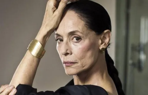 Sonia Braga atuou pela última vez em uma novela da Globo em 2006