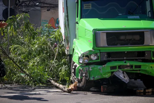 Caminhão perdeu o controle e invadiu pista no sentido contrário da Alameda