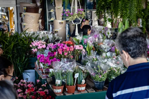 São 172 lojas com produtos de todo o estado