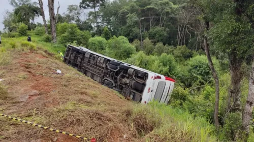 Ônibus da Viação Catarinense tombou na madrugada desta terça-feira (31)