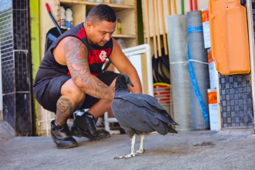 Animal já está há 6 meses recebendo os cuidados de Thiago