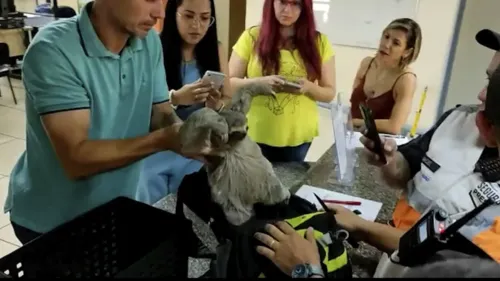 Animal seria vendido em uma feira em Duque de Caxias