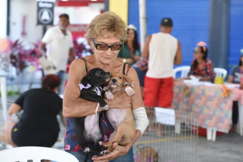 Vinte pets entre cães e gatos, todos castrados e vacinados, estarão disponíveis para encontrar novas famílias