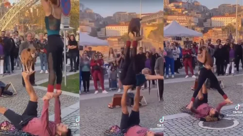 O cachorro se equilibra entre as mãos e os pés dos tutores