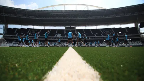 Botafogo retorna ao estádio Nilton Santos após a colocação da nova grama sintética