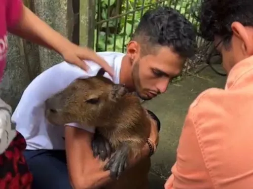 Capivara Filó é devolvida ao influenciador Agenor Tupinambá