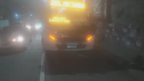 Ônibus da linha 133 atropelou e matou Valéria Marins