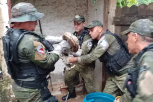 Réptil foi pego por agentes da Guarda Ambiental de Maricá