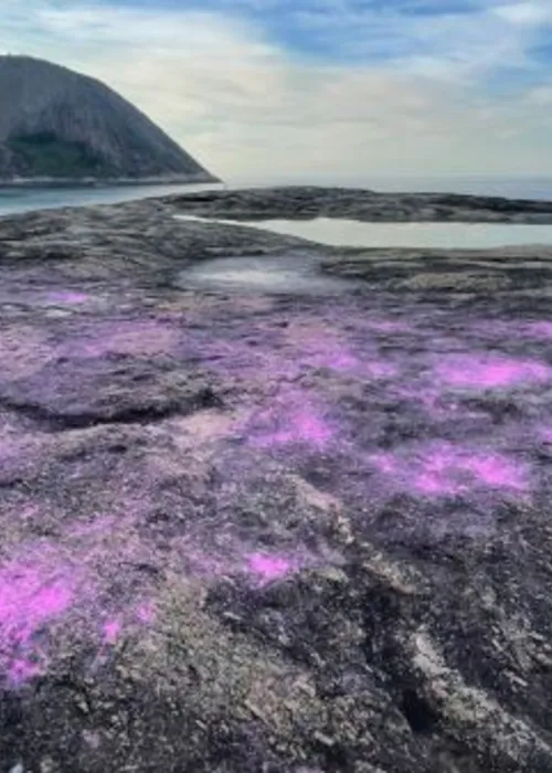 Pedra do Pampo ficou toda suja com tinta rosa