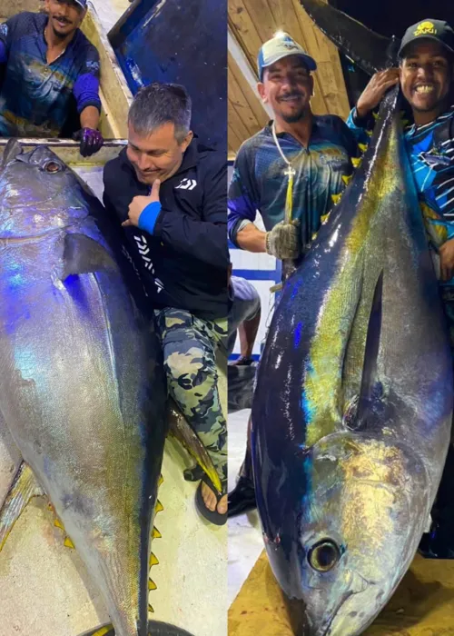 Pescadores posaram ao lado do atum gigante