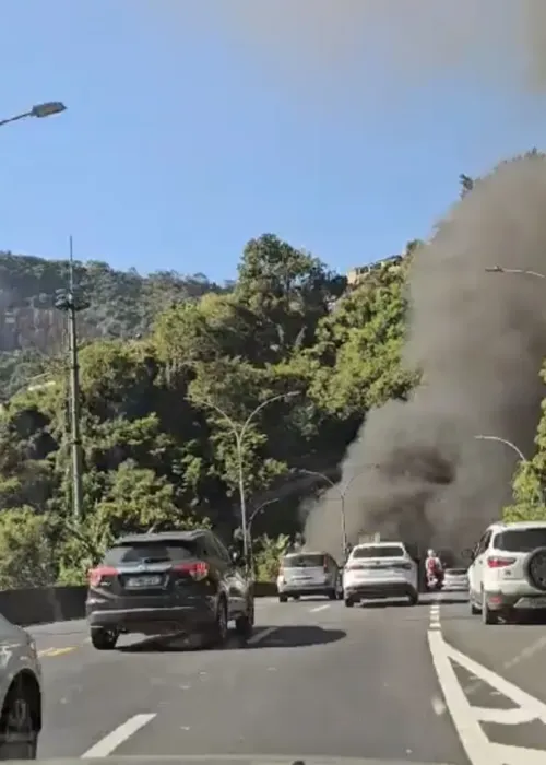 Chamas assustaram motoristas que passavam pelo local