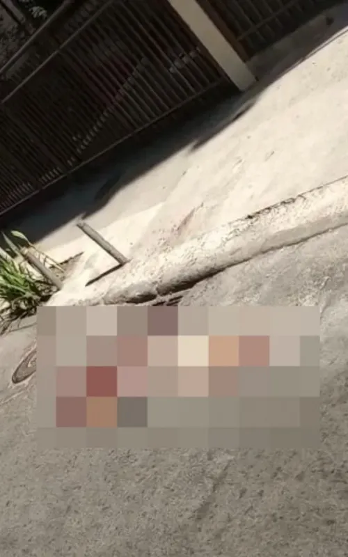Idosa foi atropelada por ônibus