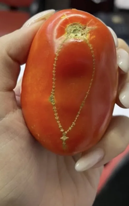 As imagens foram publicadas por uma mulher