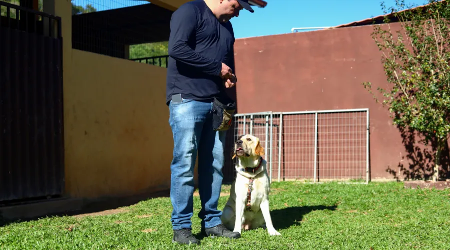 O adestrador de cães Carlos Sardinha atua no ramo desde 2016