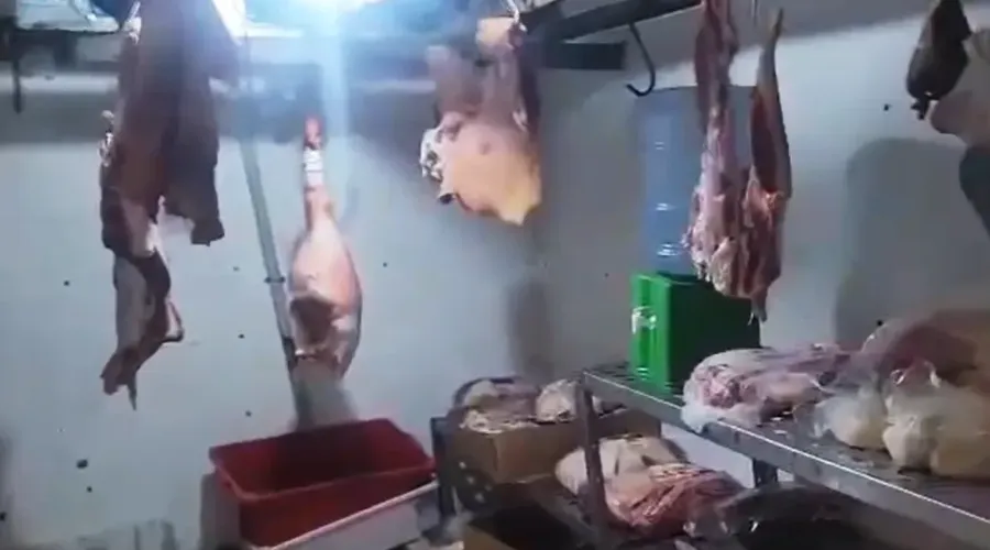 Segundo a Polícia Civil, a carne apreendida foi descartada