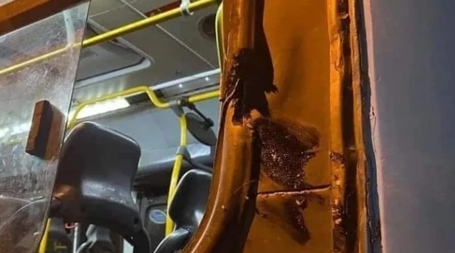 Ônibus com a janela destruída após o acidente