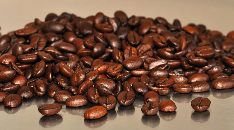 Pedaços de cascas e madeiras foram encontrados nos grãos de café