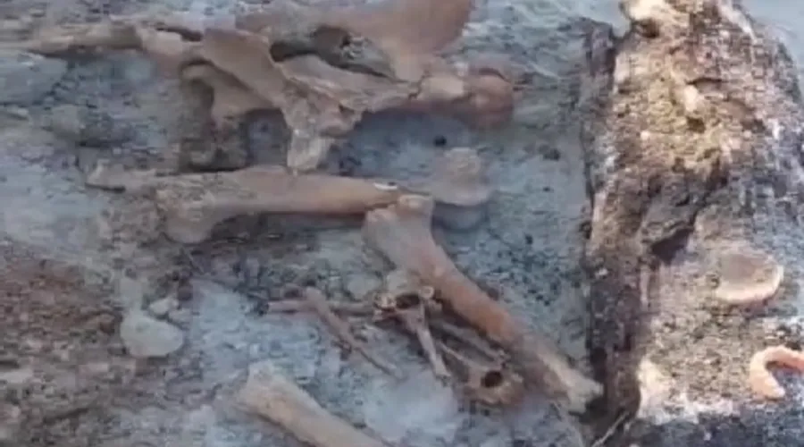A ossada estava em um buraco na Praia de Itacoatiara