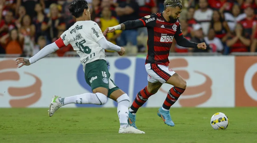 Assim como o Alviverde, o Flamengo está na busca do título da competição nacional