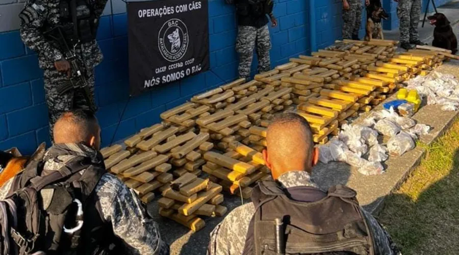 Mais de uma tonelada de drogas foram apreendidas pelos policiais