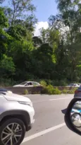 Imagem ilustrativa da imagem Árvore cai e deixa trânsito lento na RJ-106, sentido Niterói