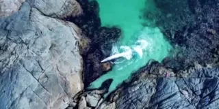 Imagem ilustrativa da imagem Baleia presa entre rochas é resgatada em Arraial do Cabo; vídeo