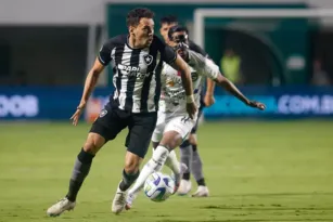 Imagem ilustrativa da imagem Botafogo recebe o Goiás buscando se reerguer no Brasileirão