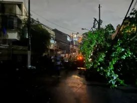 Imagem ilustrativa da imagem Temporal e ventania derrubam mais de 20 árvores em Niterói