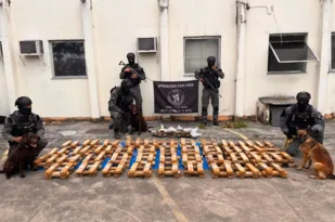 Imagem ilustrativa da imagem Uma tonelada de Maconha é apreendida em escola no Complexo da Maré